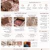 Fashion Industry Map